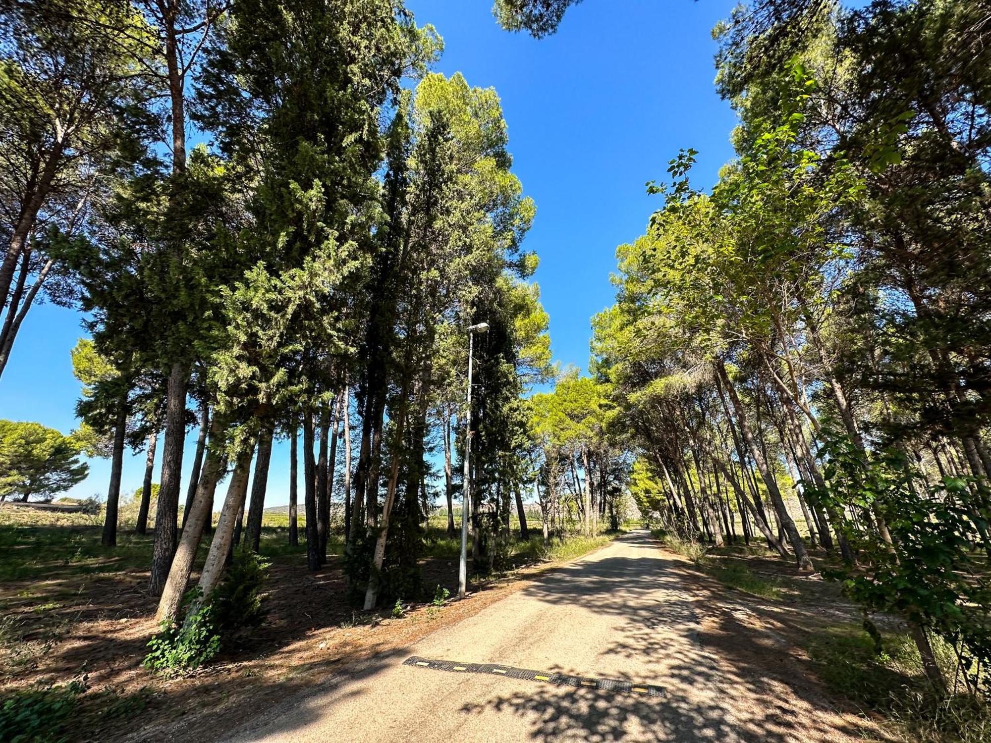 Valmuel Casa Rural Los Pinos المظهر الخارجي الصورة