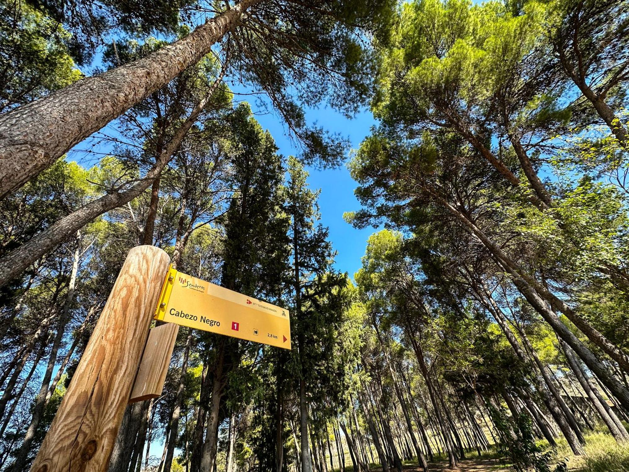 Valmuel Casa Rural Los Pinos المظهر الخارجي الصورة