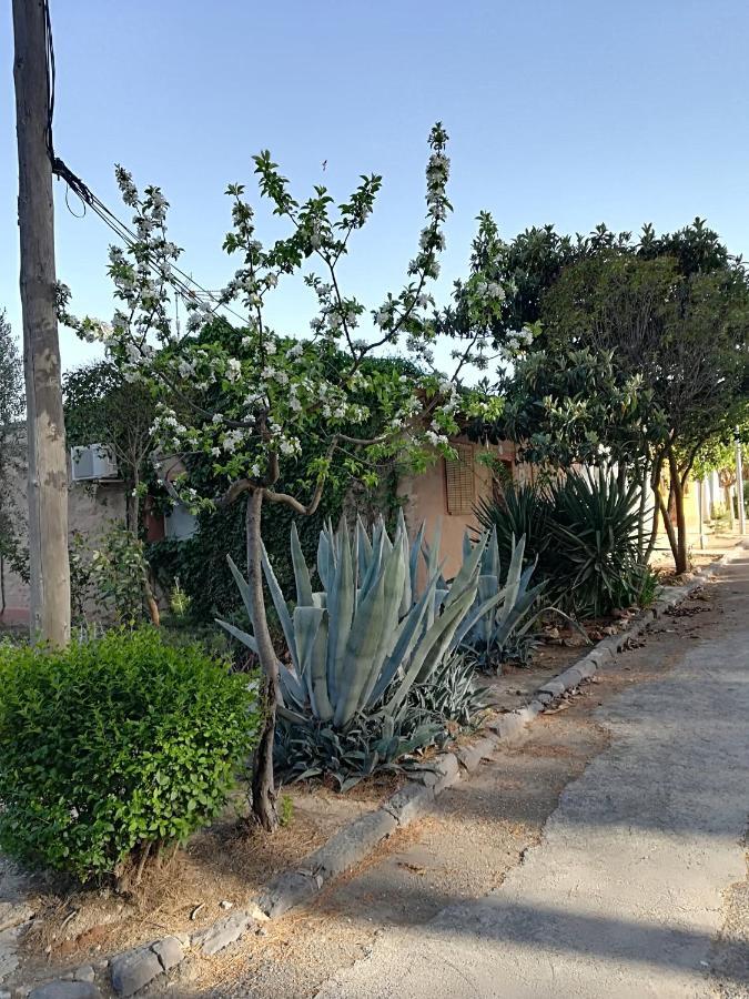 Valmuel Casa Rural Los Pinos المظهر الخارجي الصورة